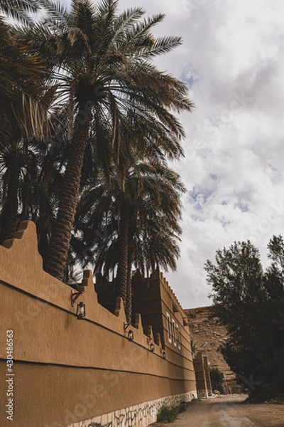 Obraz Palm trees next to lanterns
