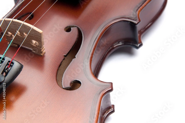 Obraz violin
