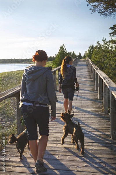 Obraz walking with the dogs on wooden boardwalk along the Huron Great Lake on Manitoulin Island, Province Bay, Canada