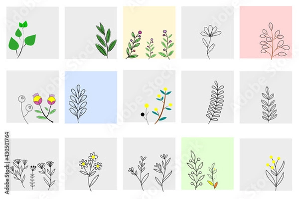 Fototapeta Set of natural plants in the square background. Natural floral and tree branches line painting in vector pattern.