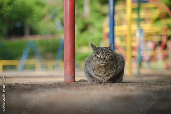 Obraz 公園の中で