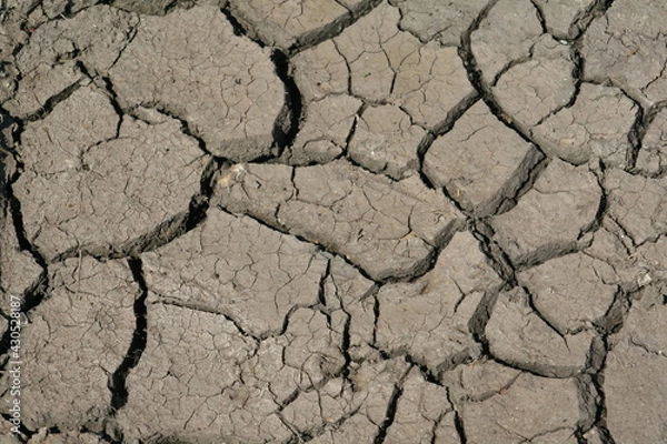 Obraz dry soil background