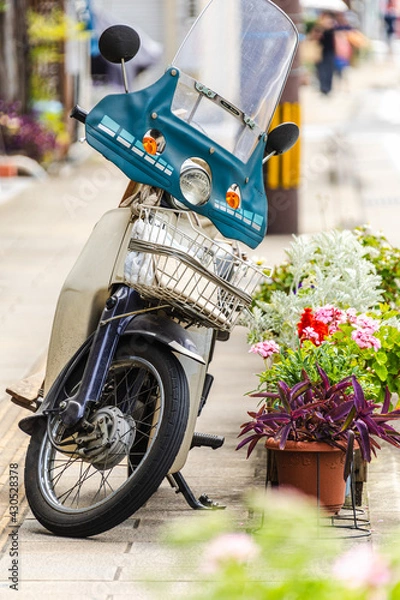 Obraz スクーターと鉢植え