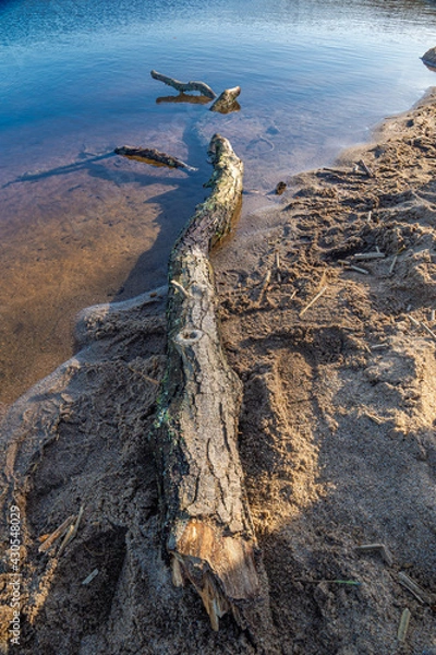 Fototapeta Klostermølle near Skanderborg. The old paper mill, with its black tar-treated wooden battens, testifies to a bygone industry. The lake is framing the area