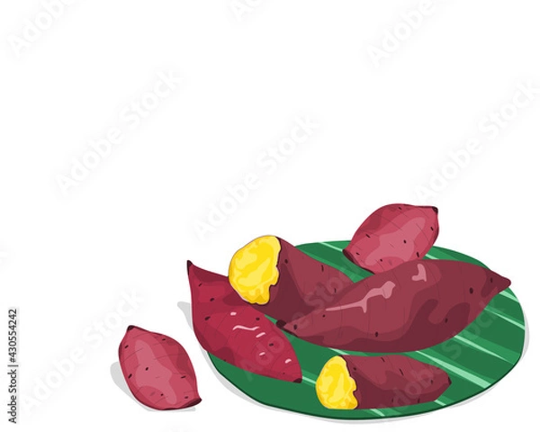 Obraz Isolated  whole and a half steamed yellow sweet potato on banana leaves. Food ingredients vector illustration on white background. Close up steamed potato hand drawing vector.