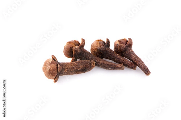 Fototapeta dry clove isolate on white background