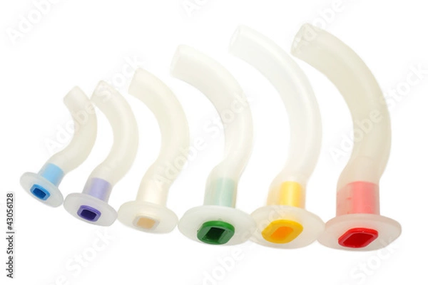 Obraz Canule geudel set