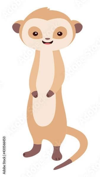 Obraz Meerkat