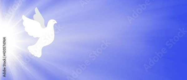 Fototapeta Banner blu luce magica raggiante Colomba Bianca vola. Pasqua. Pentecoste. Battesimo. Chiesa. Fede. Amore. Speranza. Spiritualità. Cielo. Raggio di sole 