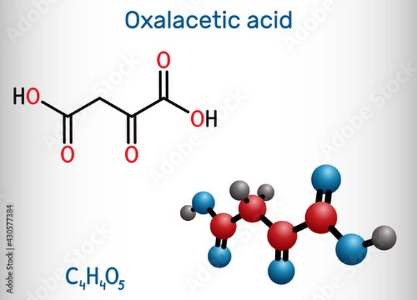 Obraz Oxaloacetic acid, oxalacetic acid, OAA, oxaloacetate molecule. It is oxodicarboxylic acid,  metabolic intermediate. Structural chemical formula, molecule model. Vector illustration