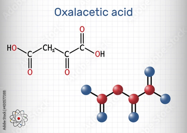 Fototapeta Oxaloacetic acid, oxalacetic acid, OAA, oxaloacetate molecule. It is oxodicarboxylic acid,  metabolic intermediate. Sheet of paper in a cage