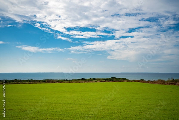 Fototapeta 小浜島
