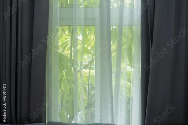 Fototapeta Transparent curtains with morning light from window.
