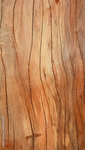 Obraz the brown texture of hard wood with craked line on surface