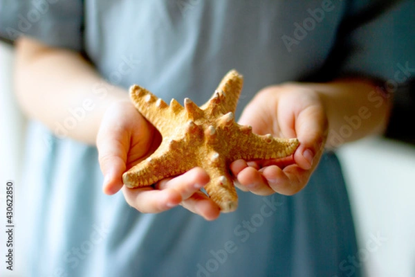 Obraz Child holding  starfish in his hands