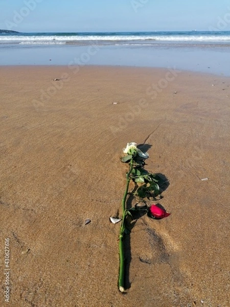 Obraz footsteps on the beach