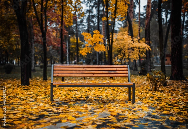 Obraz Empty wooden bench in autumn park