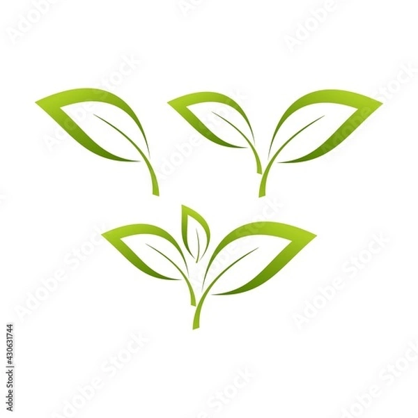 Fototapeta green leaf icons design template vector