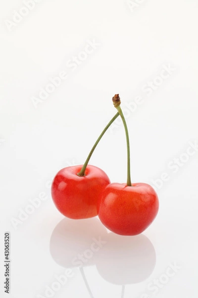 Obraz さくらんぼ