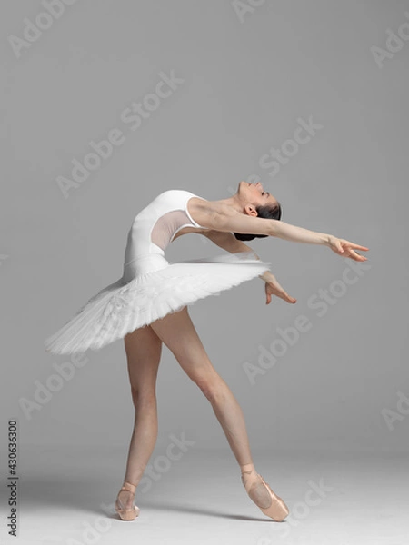 Obraz Young beautiful skinny ballerina is posing in studio