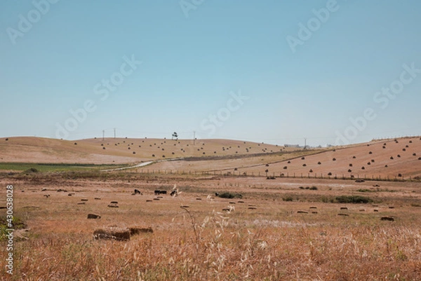 Obraz Panorama of hills and mountains with the fog clouds between Tetouan city
