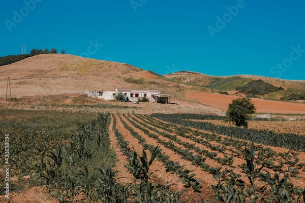Obraz Panorama of hills and mountains with the fog clouds between Tetouan city
