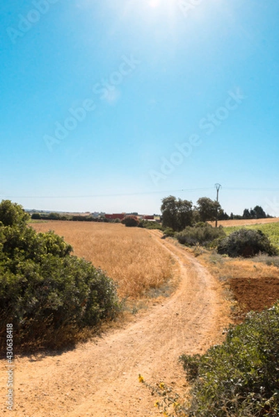Obraz Panorama of hills and mountains with the fog clouds between Tetouan city
