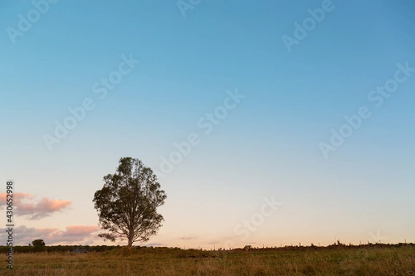 Fototapeta Minas Gerais
