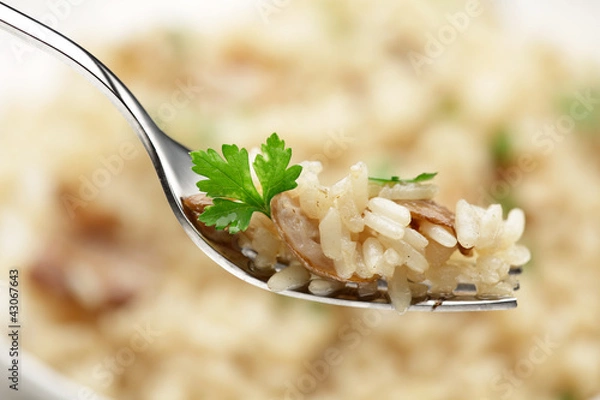 Obraz Cep Risotto  on a fork