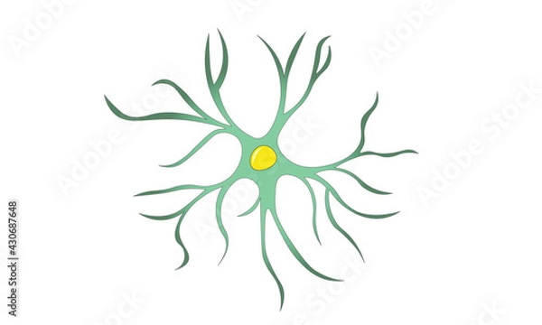 Obraz Astrocyte [brain]