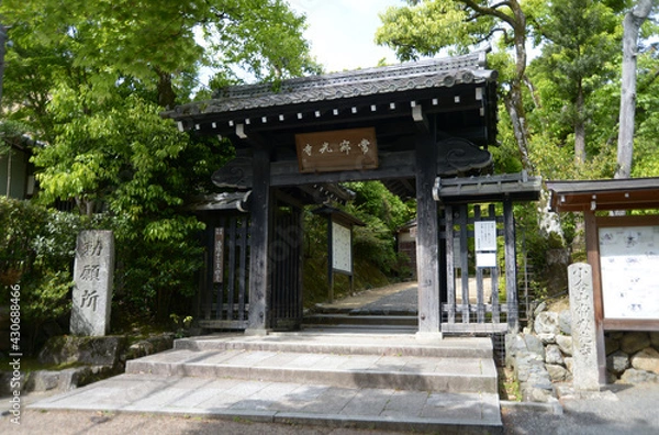 Fototapeta 新緑の常寂光寺　山門　京都市嵯峨