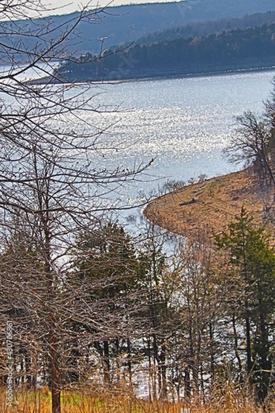 Obraz lake in winter