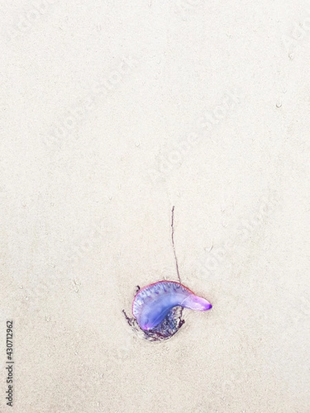 Fototapeta blue brush