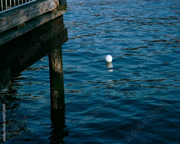 Fototapeta A white balloon floating in blue rippled water off a pier at the Puget Sound waterfront in Seattle Washington, 1988