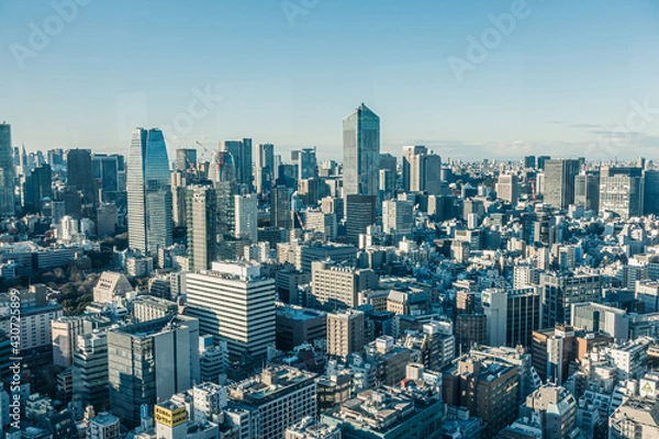 Fototapeta 東京　都市風景　高層ビル群
