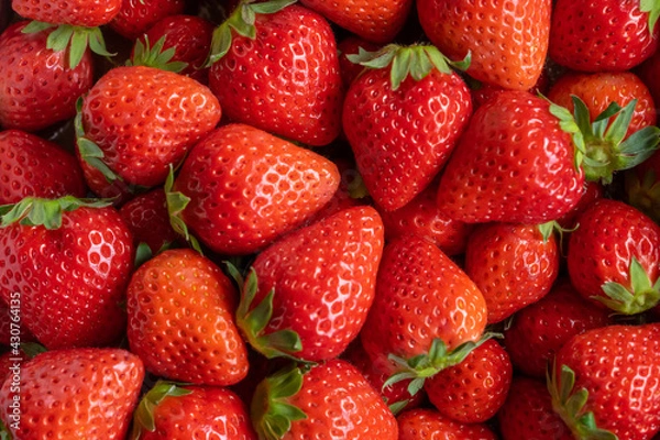 Obraz 背景に使える！たくさんの新鮮ないちご