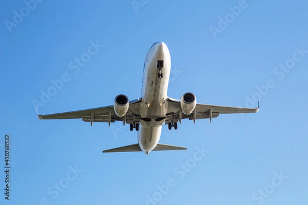 Fototapeta 下から見上げた飛行機