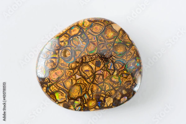 Fototapeta Australian natural light brown matrix boulder multi color play neon blue, green and red veins opal freeform oval cabochon polished loose gemstone isolated on white background. For making jewelry.