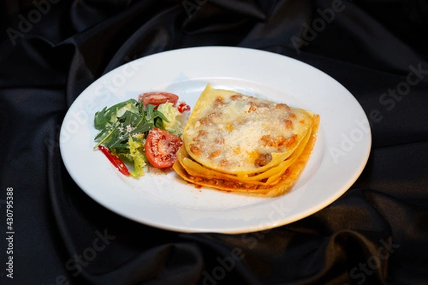 Obraz Italian lasagna 