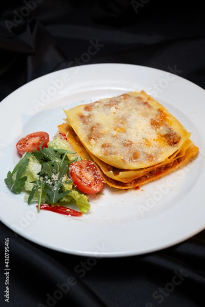 Obraz Italian lasagna 