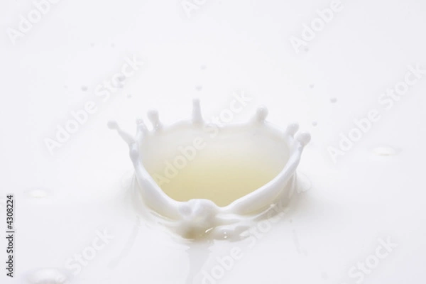 Fototapeta kropla mleka