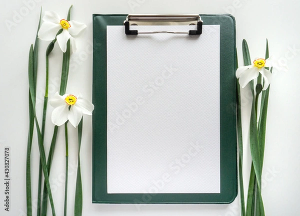 Obraz Green clipboard with daffodils on white background, home office workspace flat lay.