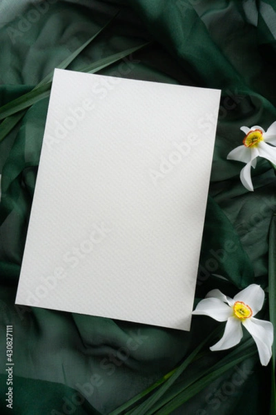 Obraz Mockup card with daffodils and green ribbon