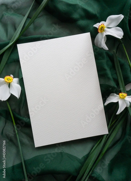 Obraz Mockup card with daffodils and green ribbon