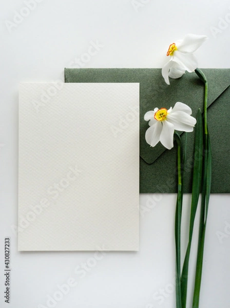 Fototapeta Mockup card with green envelope and daffodils 