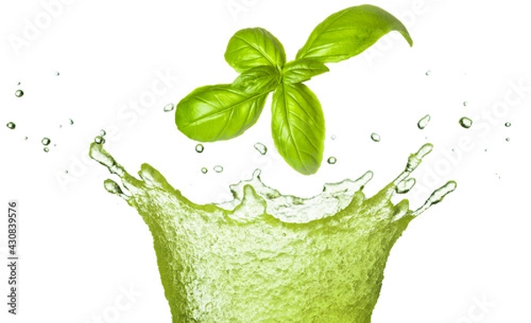 Obraz Basil leaf falling in green juice splash isolated on white. Herb healthy beverage.