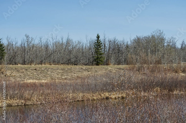 Fototapeta Pylypow on a Clear Spring Day