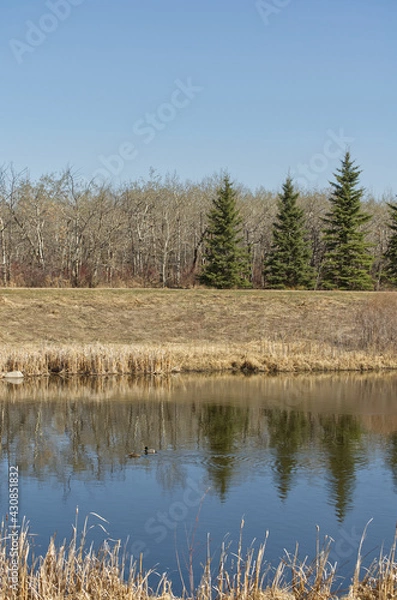 Fototapeta Pylypow on a Clear Spring Day