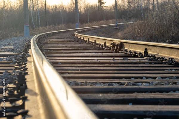 Obraz railway in the forest