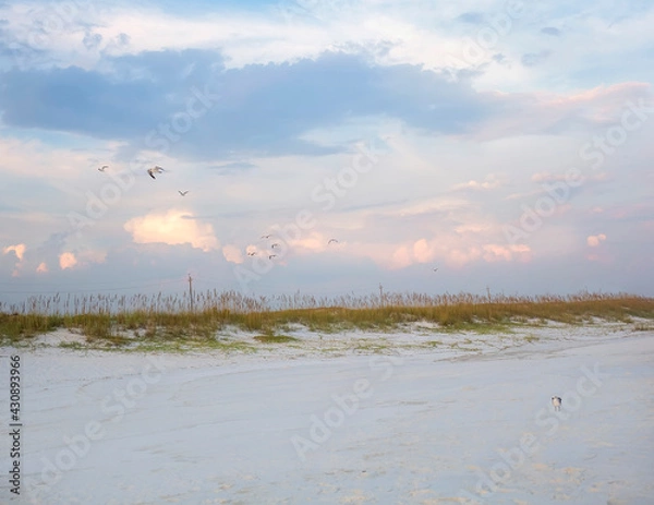 Obraz white sand on gulf beach at sunset
